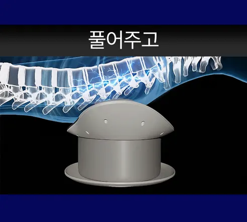 제스파 허리안 프로 마사지기 ZP5824, 1개 상세 이미지 8