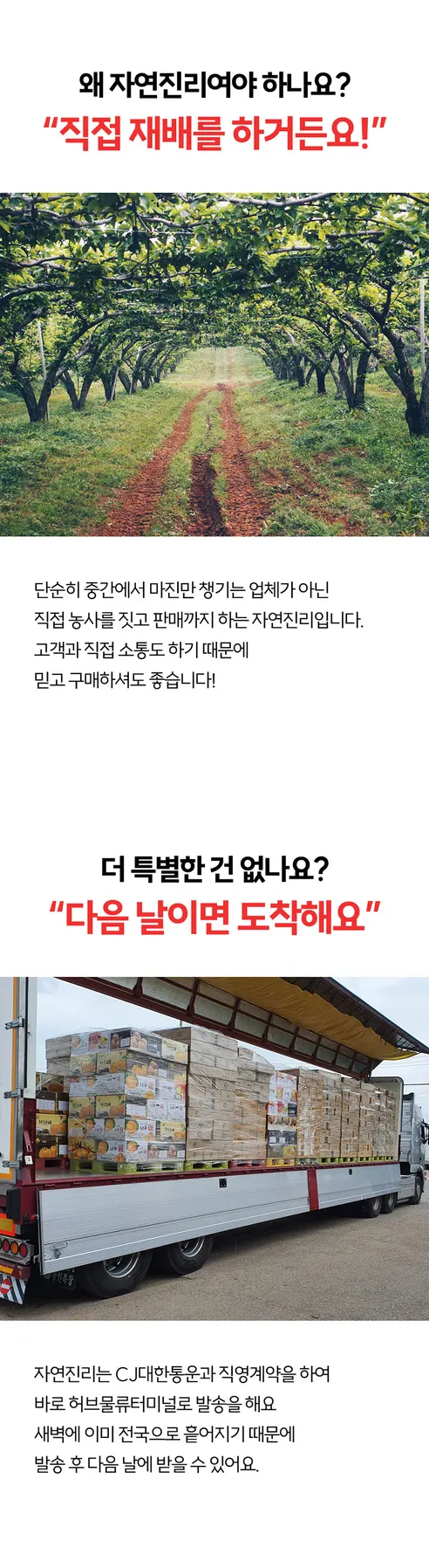 자연진리 나주 신고배, 가정용, 8-9과, 5kg, 1박스 상세 이미지 3