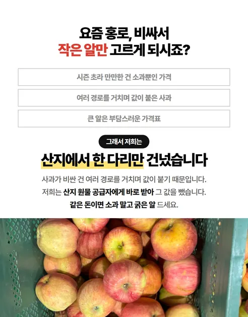 홍로사과, 대과, 5kg, 1박스 상세 이미지 3