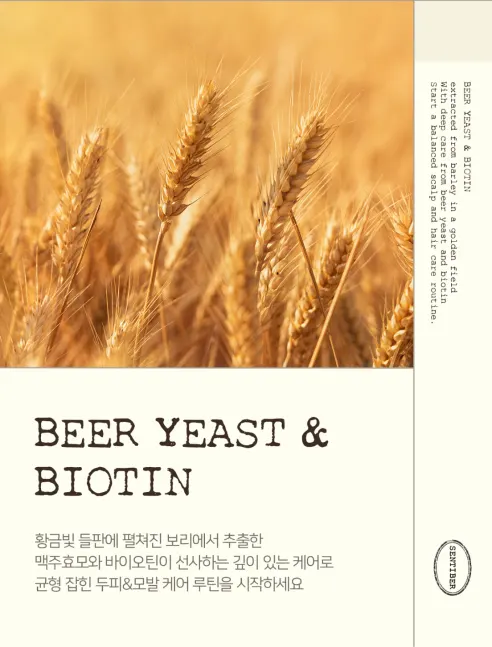 센티베르 맥주효모 바이오틴 탈모증상완화 대용량 샴푸, 1L, 2개 상세 이미지 8