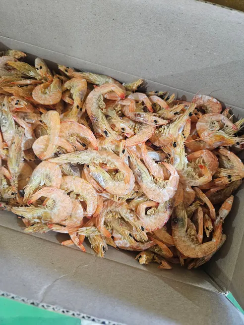 국내산 알배기 건중하새우포, 1.3kg, 1박스 상세 이미지 4