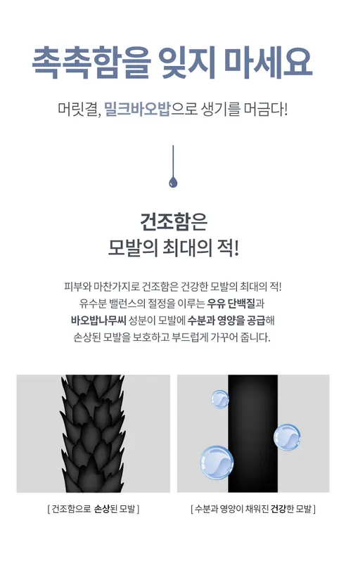 밀크바오밥 세라 화이트머스크향, 샴푸, 1.2L, 1개 + 트리트먼트, 1.2L, 1개 상세 이미지 7