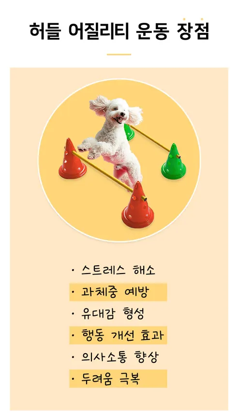 비바펫 강아지 훈련용품 세트, 파우치, 1개 상세 이미지 8