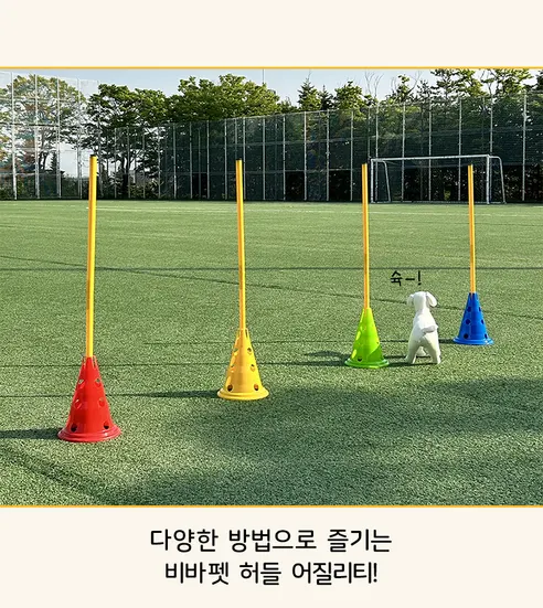 비바펫 강아지 훈련용품 세트, 파우치, 1개 상세 이미지 11