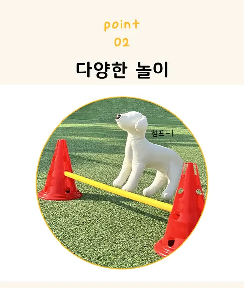 비바펫 강아지 훈련용품 세트, 파우치, 1개 상세 이미지 10