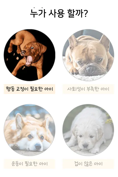 비바펫 강아지 훈련용품 세트, 파우치, 1개 상세 이미지 7