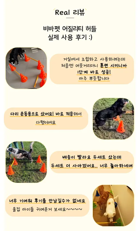 비바펫 강아지 훈련용품 세트, 파우치, 1개 상세 이미지 4