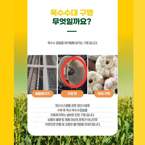 무한상사 냉동삶은옥수수, 2kg 내외, 1박스 상세 이미지 13