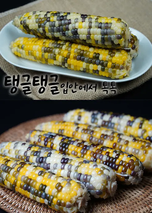 무한상사 냉동삶은옥수수, 2kg 내외, 1박스 상세 이미지 6
