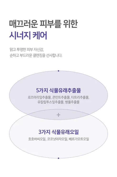 살림백서 퓨어 마이크로 휩 클렌징폼, 230ml, 4개 상세 이미지 10
