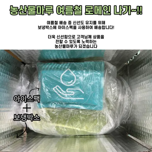 국내산 로메인상추, 2kg, 1박스 상세 이미지 1