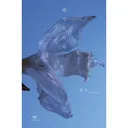채식주의자, 한강, 창비 (양장)