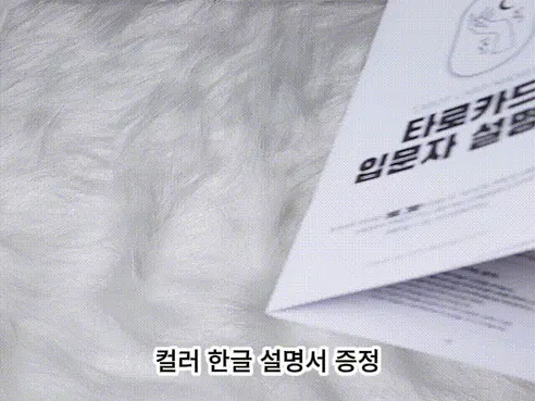 라이프그래피 컬러 타로카드 입문자용, 한글설명서 동봉, 1개 상세 이미지 5