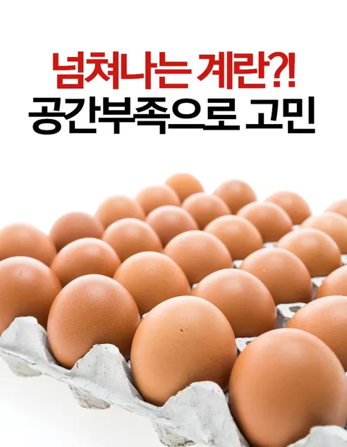 스마트 30구 자동 에그트레이, 그린, 1개 상세 이미지 4