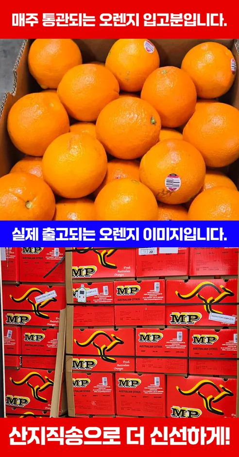카라카라 오렌지, 중대과, 14~17과 내외, 3.5kg, 1박스 상세 이미지 1