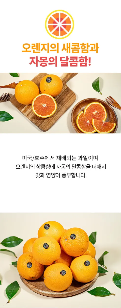 카라카라 오렌지, 중대과, 14~17과 내외, 3.5kg, 1박스 상세 이미지 10