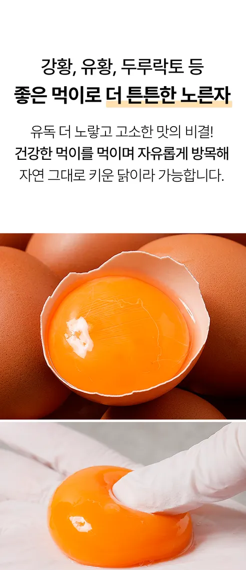땡큐파머스 무항생제 유정란 난각번호 1번 자연방사, 대란, 20구, 1박스 상세 이미지 27