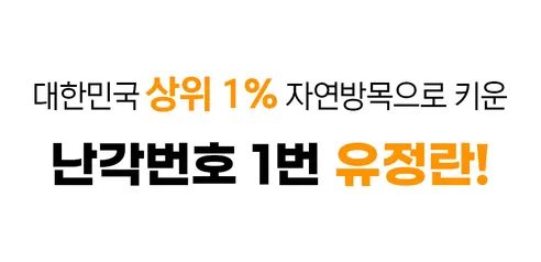 땡큐파머스 무항생제 유정란 난각번호 1번 자연방사, 대란, 20구, 1박스 상세 이미지 11