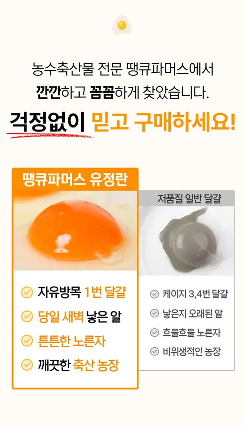 땡큐파머스 무항생제 유정란 난각번호 1번 자연방사, 대란, 20구, 1박스 상세 이미지 16