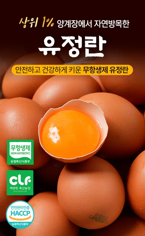 땡큐파머스 무항생제 유정란 난각번호 1번 자연방사, 대란, 20구, 1박스 상세 이미지 17