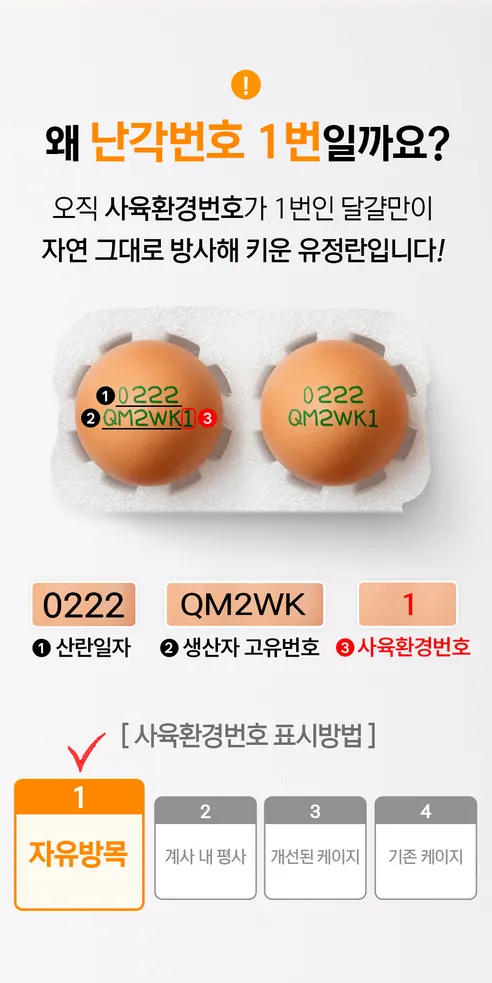 땡큐파머스 무항생제 유정란 난각번호 1번 자연방사, 대란, 20구, 1박스 상세 이미지 24
