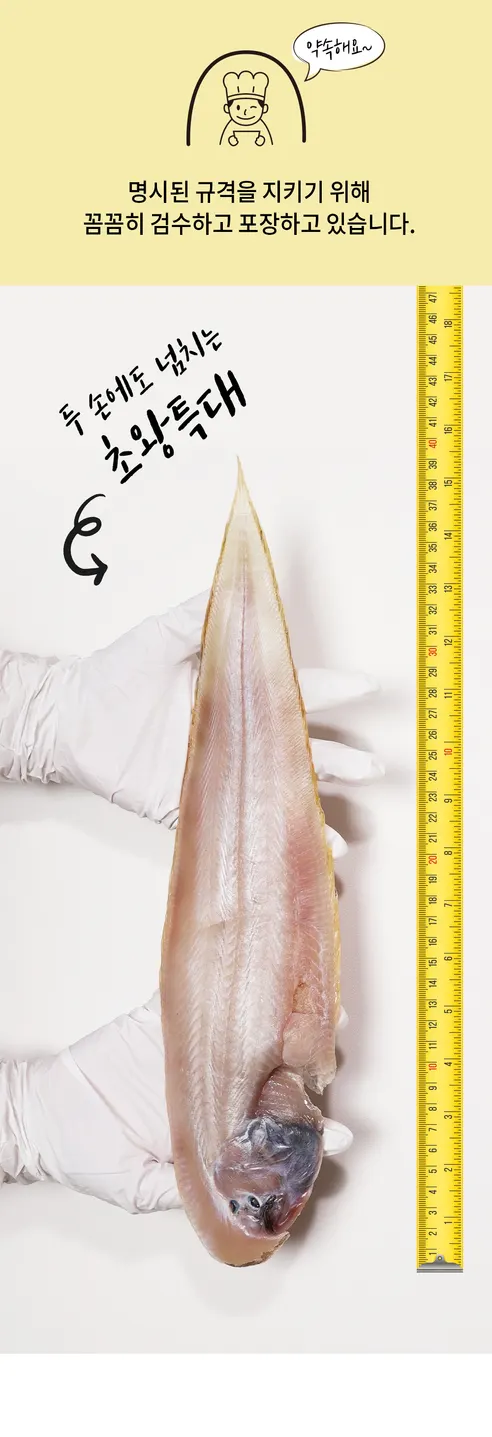 맛집대령 군산 반건조 박대, 33-35cm, 10마리 상세 이미지 14