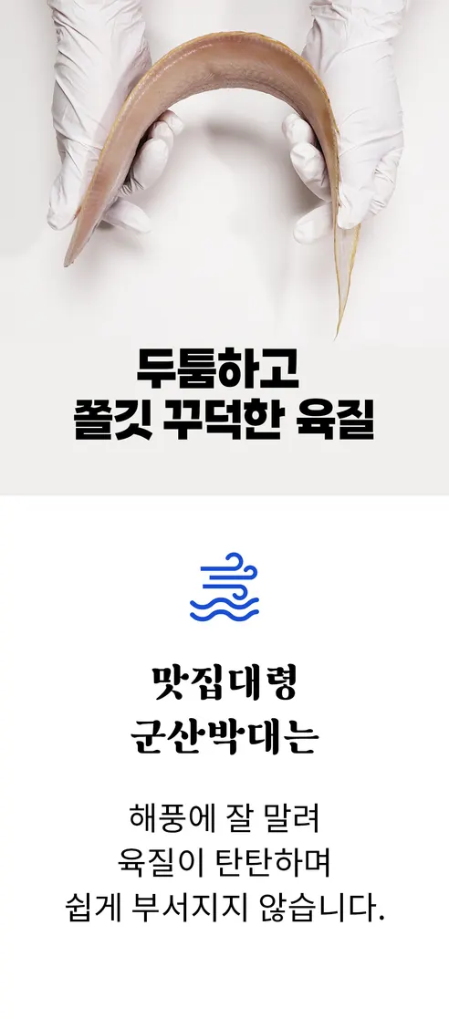 맛집대령 군산 반건조 박대, 33-35cm, 10마리 상세 이미지 15