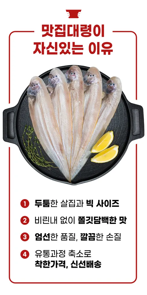 맛집대령 군산 반건조 박대, 33-35cm, 10마리 상세 이미지 8