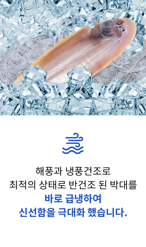 맛집대령 군산 반건조 박대, 33-35cm, 10마리 상세 이미지 37