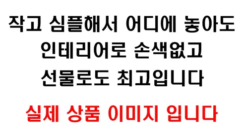 자수정 황금 돈나무, 3개 상세 이미지 9