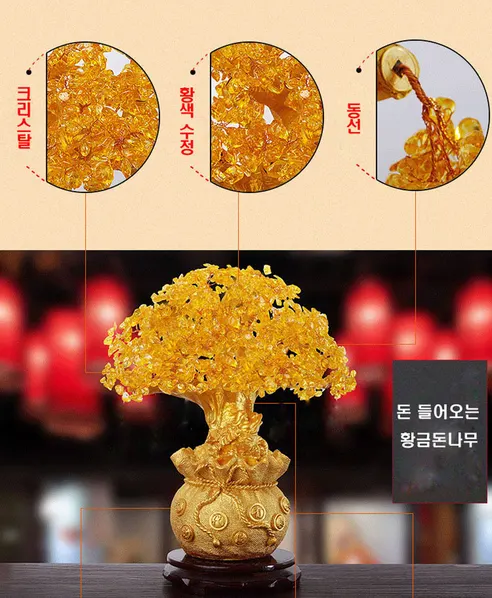 자수정 황금 돈나무, 3개 상세 이미지 5