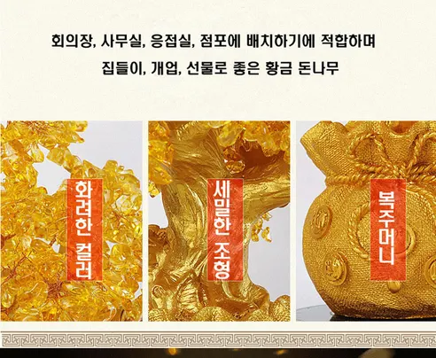 자수정 황금 돈나무, 3개 상세 이미지 4