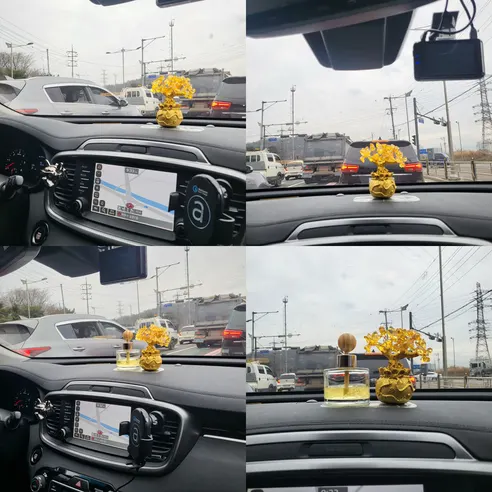 자수정 황금 돈나무, 3개 상세 이미지 12