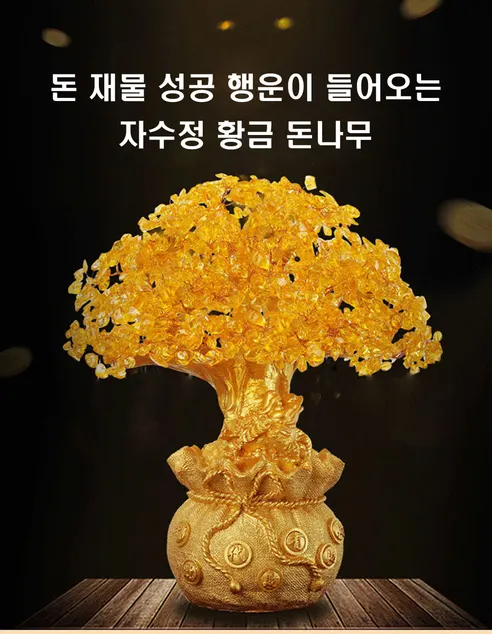 자수정 황금 돈나무, 3개 상세 이미지 3