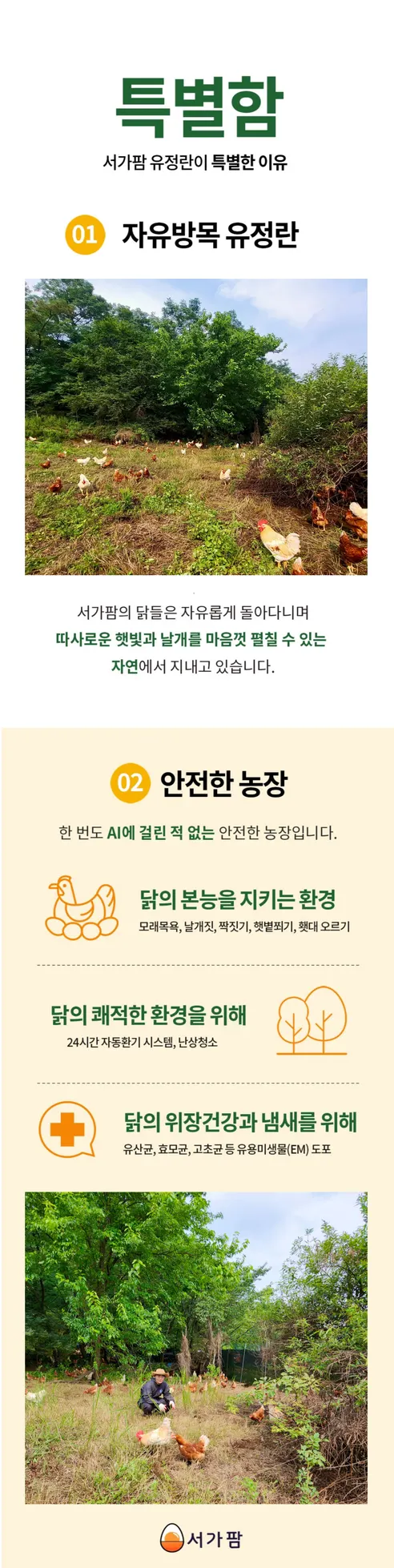 서가팜 난각번호1번 무항생제 유정란, 40구, 1박스 상세 이미지 10
