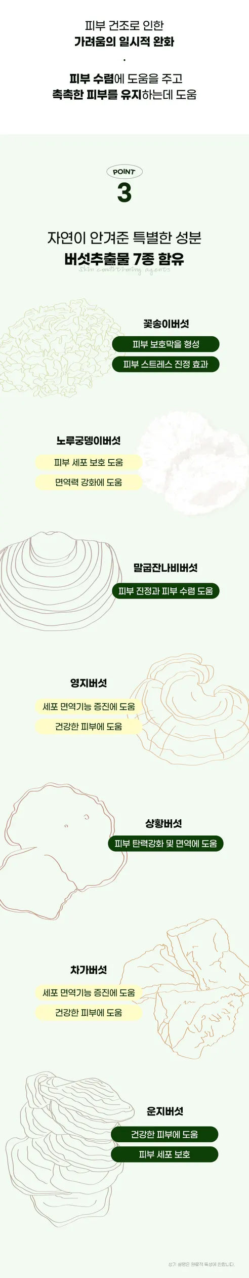 아토몽드 더마 로션, 200g, 3개 상세 이미지 7