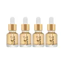 록키스 타임리스 퍼펙트 골드 앰플, 13ml, 4개입, 2세트