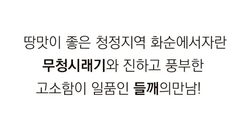 참도깨비 화순무청들깨시래기국, 530g, 4봉 상세 이미지 3