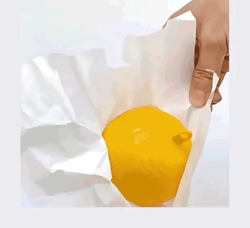 끈끈이 초파리트랩, 2개, 1세트 상세 이미지 2