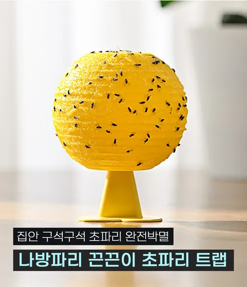 끈끈이 초파리트랩, 2개, 1세트 상세 이미지 3