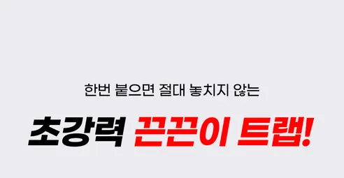 끈끈이 초파리트랩, 2개, 1세트 상세 이미지 1