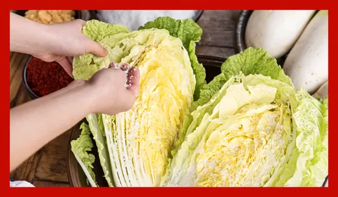 늘해랑 전라도 배추김치, 10kg, 1개 상세 이미지 6
