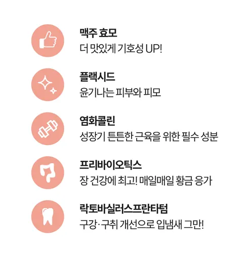 다먹어줄개 강아지 사료, 소중형견전용, 2kg, 1개 상세 이미지 7