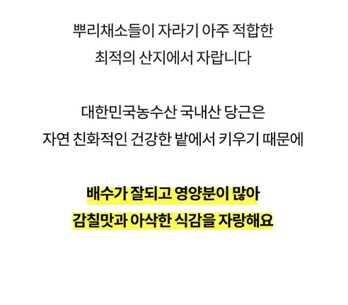 햇당근, 주스용 못난이, 5kg, 1개 상세 이미지 14