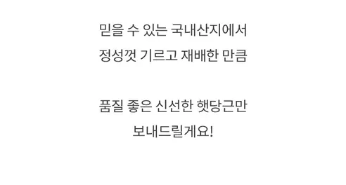 햇당근, 주스용 못난이, 5kg, 1개 상세 이미지 29