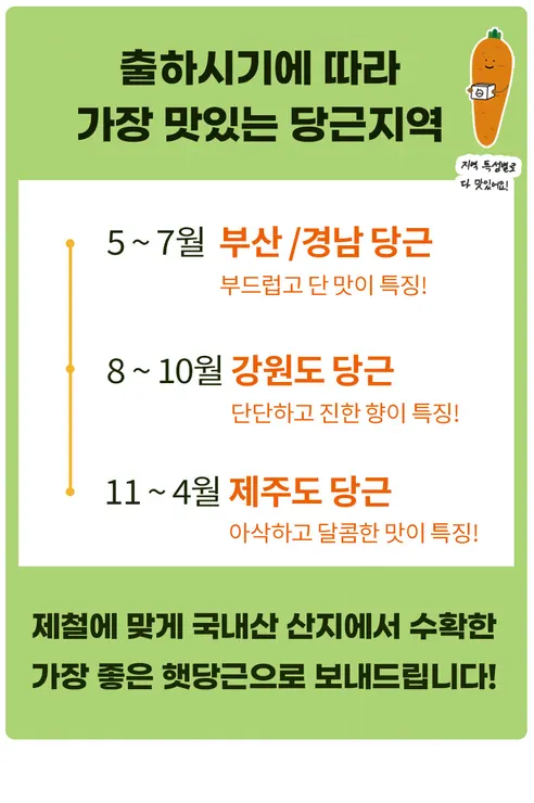 햇당근, 주스용 못난이, 5kg, 1개 상세 이미지 33