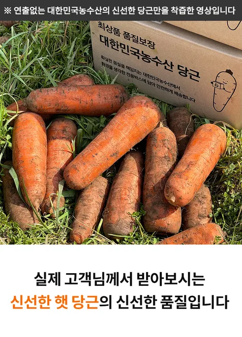 햇당근, 주스용 못난이, 5kg, 1개 상세 이미지 7