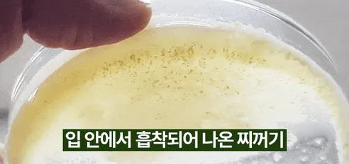 글루글루 하루가글, 레몬향 1개 + 프레쉬쿨향 1개, 36정, 2개 상세 이미지 11