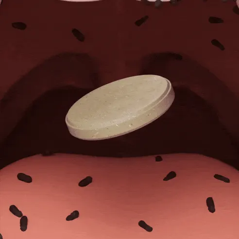 글루글루 하루가글, 레몬향 1개 + 프레쉬쿨향 1개, 36정, 2개 상세 이미지 32