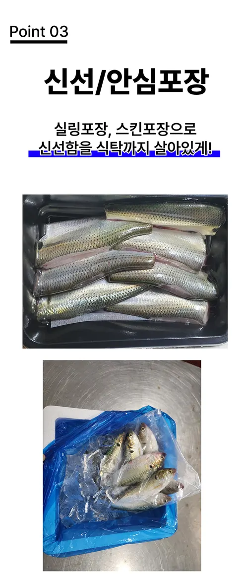 오가네수산 통영 자연산 전어, 세꼬시, 횟감용, 손질 후 300g, 1개 상세 이미지 8